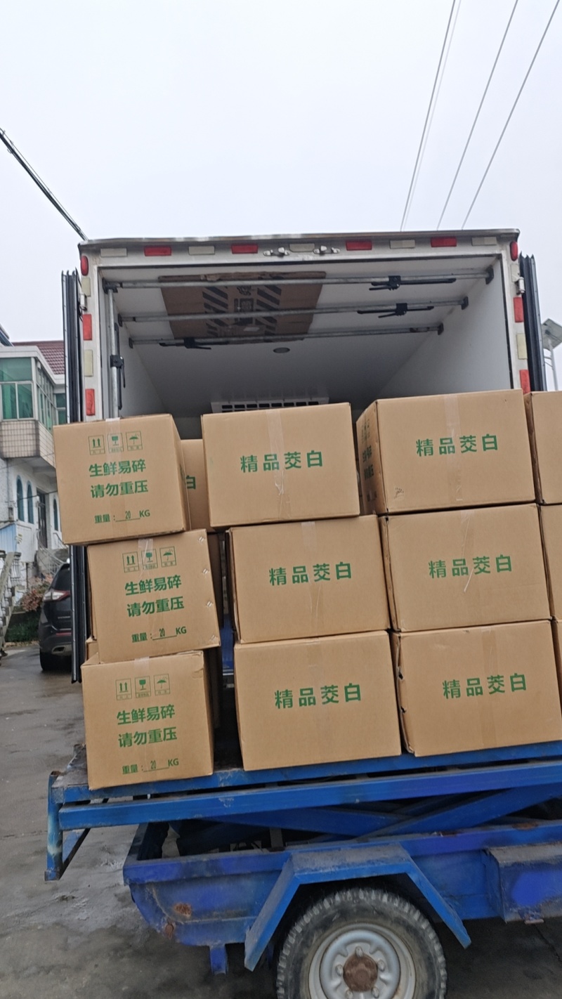 纸箱茭白，带箱40斤