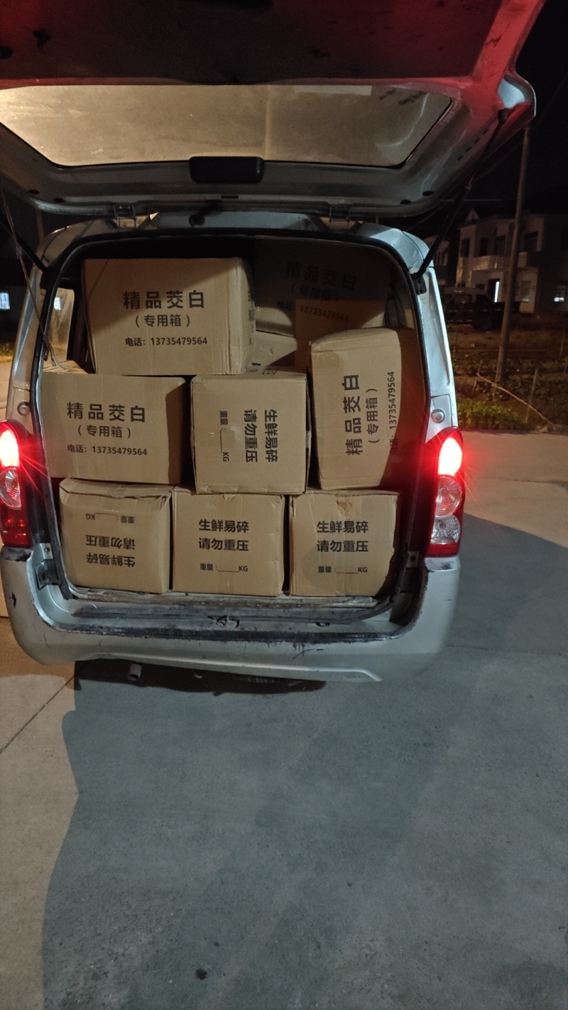 纸箱茭白，带箱40斤