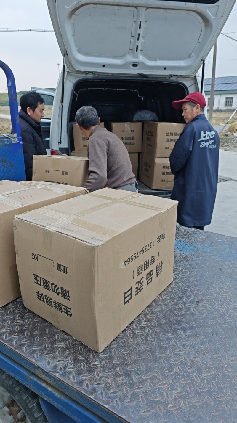 纸箱茭白，带箱40斤