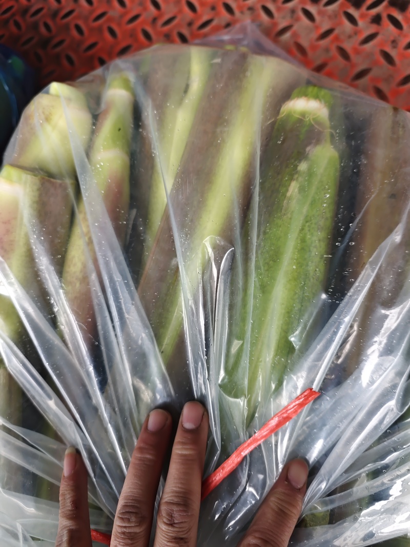 纸箱茭白，带箱40斤
