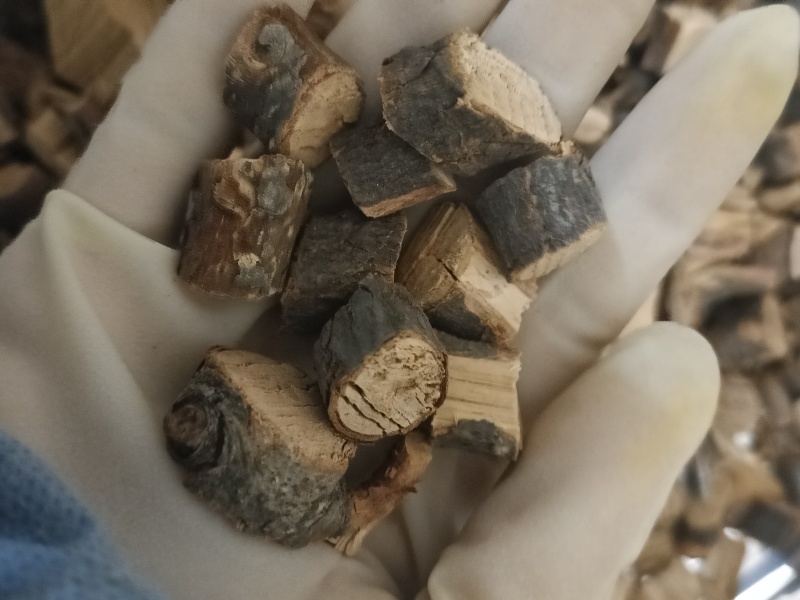 石楠藤中药材无添加干货实物实拍