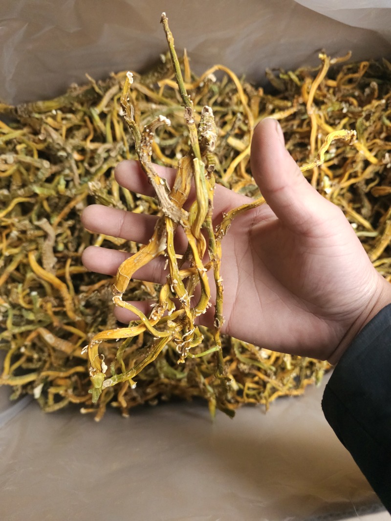 玉竹野生玉竹对接电商滋补品快品产地加工厂直供