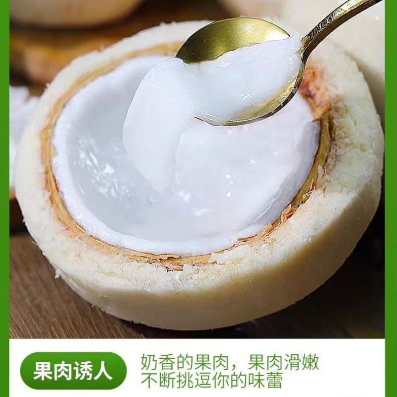 海南文昌椰子椰青一件九个，批发零售，全国各地一件代发
