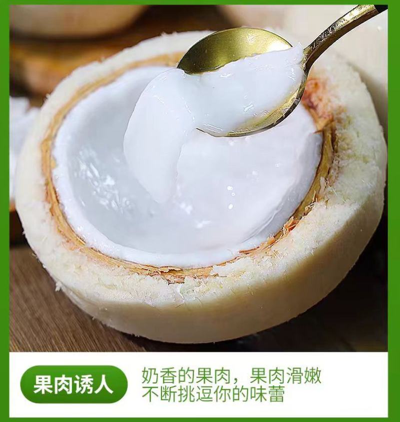 海南文昌椰子椰青一件九个，批发零售，全国各地一件代发