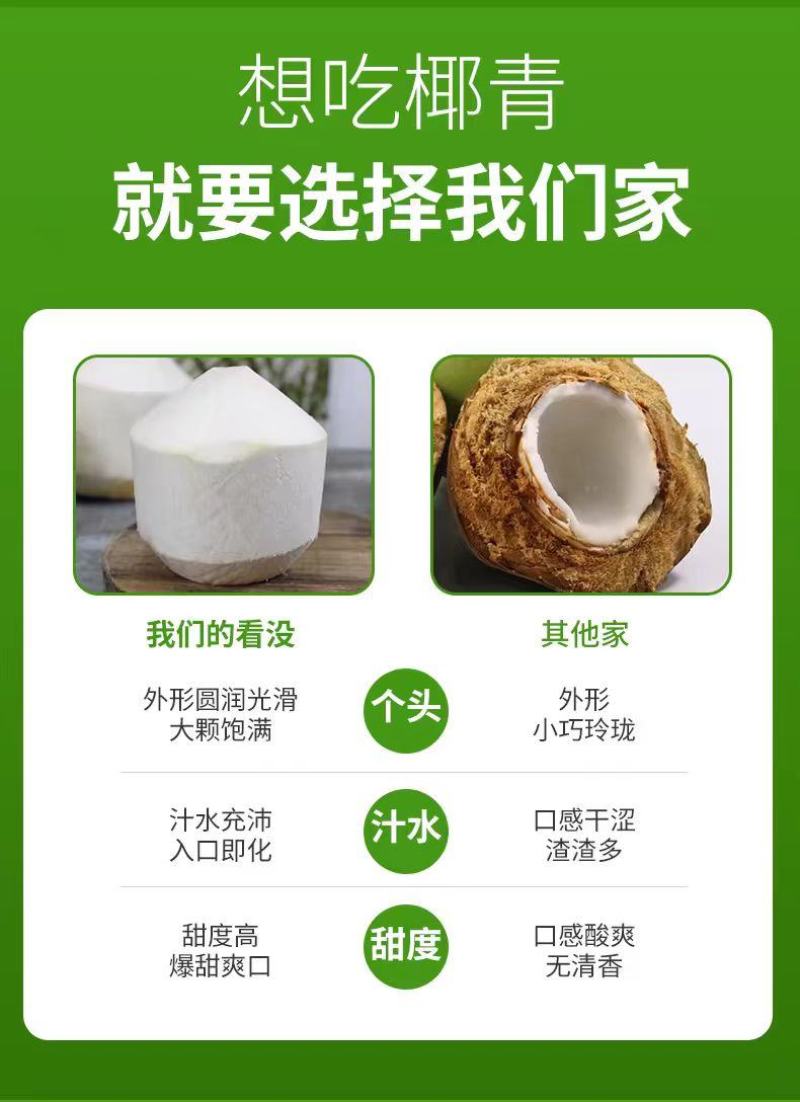 海南文昌椰子椰青一件九个，批发零售，全国各地一件代发