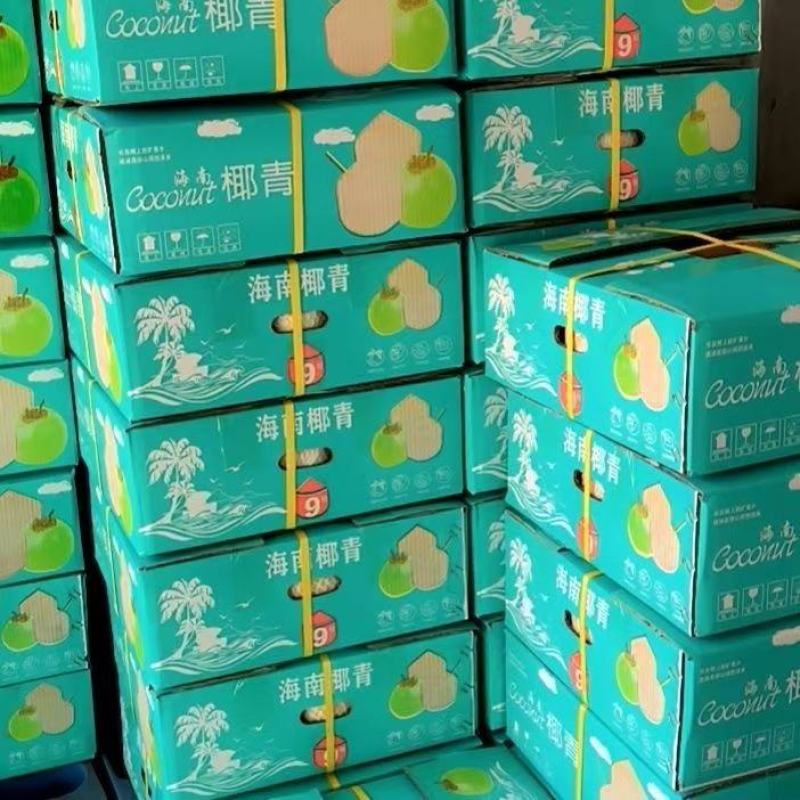 海南文昌椰子椰青一件九个，批发零售，全国各地一件代发