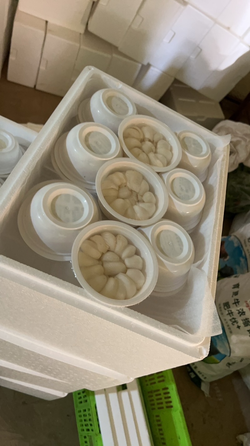 兰州鲜百合碗装大碗整件批发，视频看货量大优惠可谈