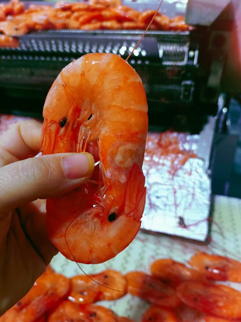 湿对虾，各种规格型号齐全，全国冷链物流发货