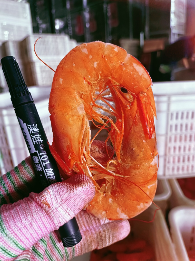 湿对虾，各种规格型号齐全，全国冷链物流发货