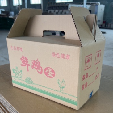 10斤鸡蛋箱提手鸡蛋箱