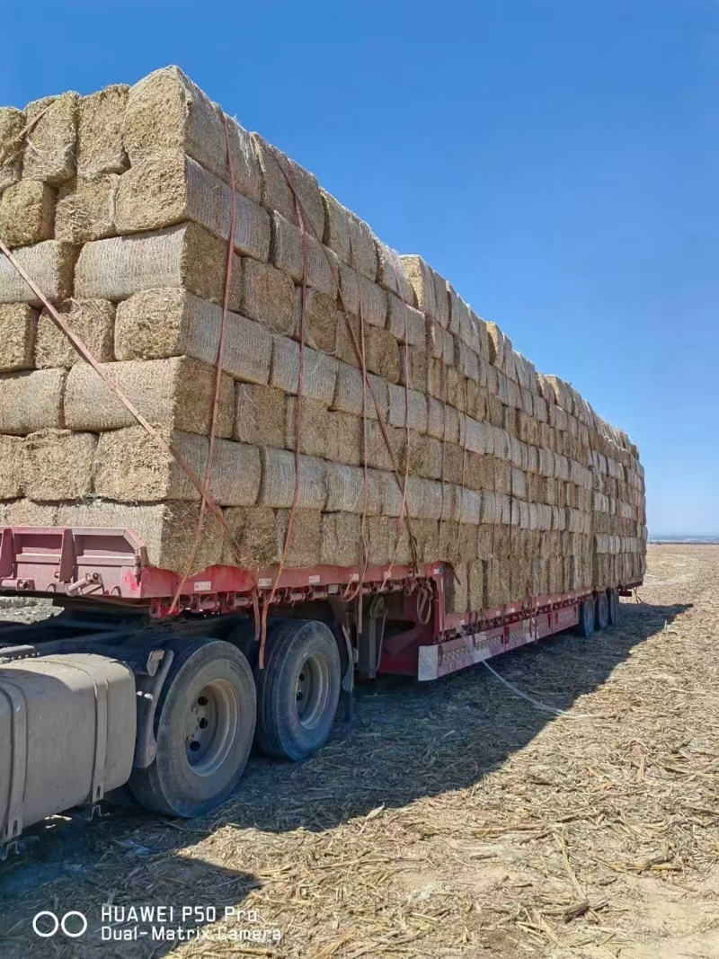 为货找车/为车找货物流新疆阿克苏商队物流货运信息部