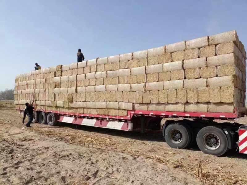 为货找车/为车找货物流新疆阿克苏商队物流货运信息部