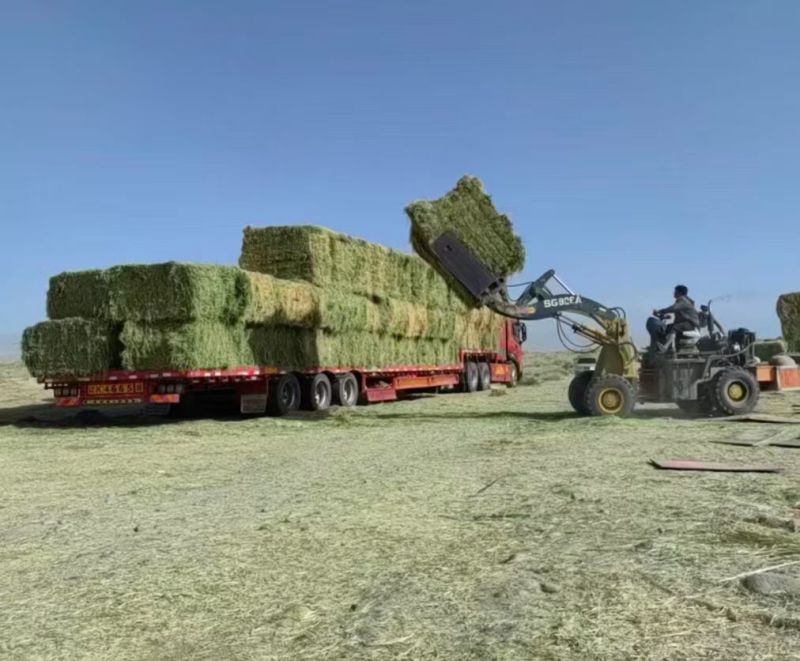 为货找车/为车找货物流新疆阿克苏商队物流货运信息部