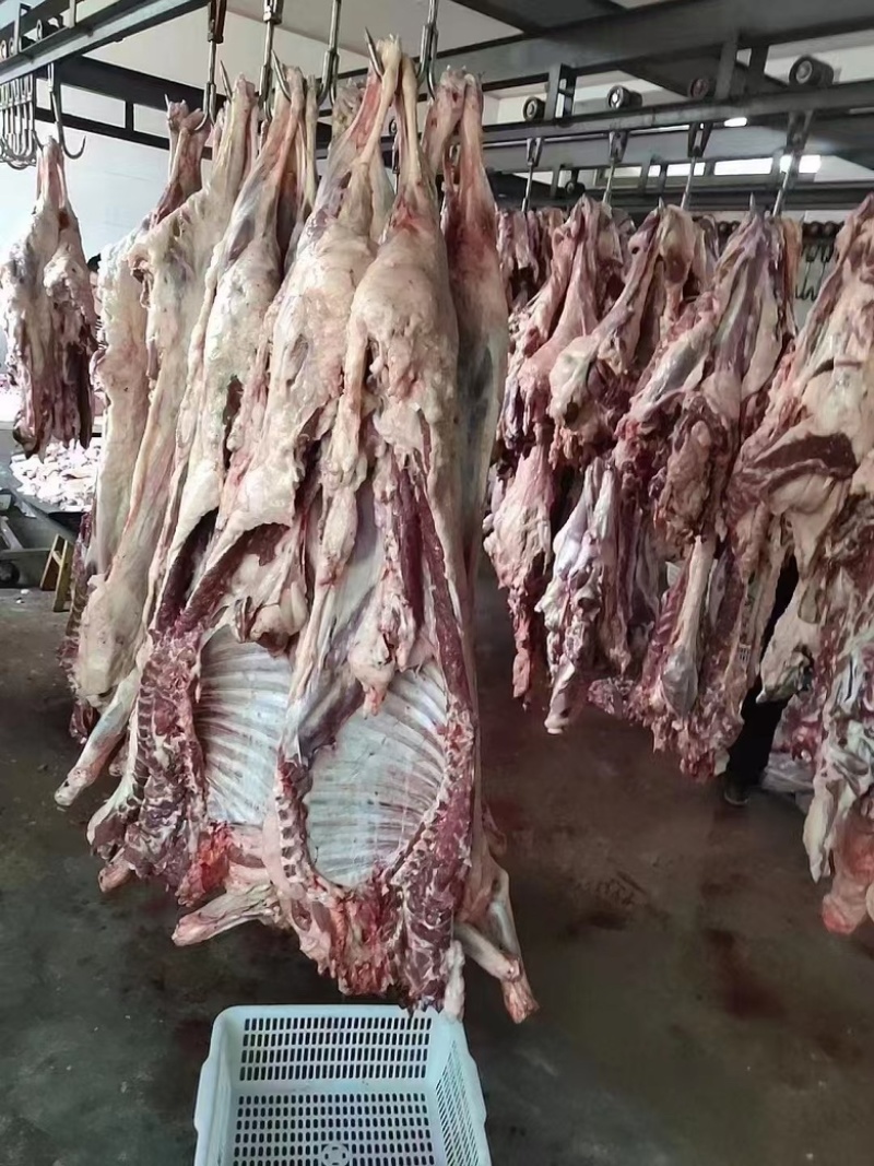 【热卖推荐】羔羊肉卷厂家直销一手货源欢迎老板采购咨询