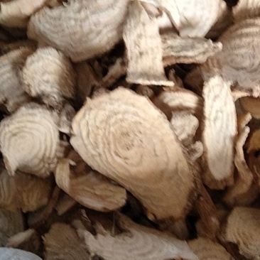 商陆，货量充足，品质保证，对接全国，欢迎咨询