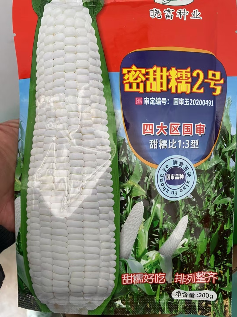 【香糯】珍甜糯甜糯玉米种子棒子大产量高甜度高口感好