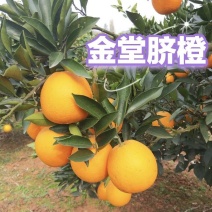 四川金堂脐橙大量出货，基地种植一手货源，规格价格齐