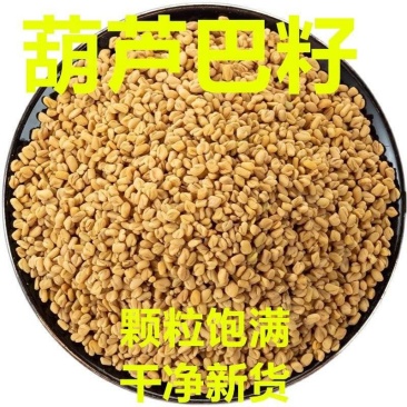 葫芦巴籽中药材批发，也叫芦巴子，色泽鲜艳，