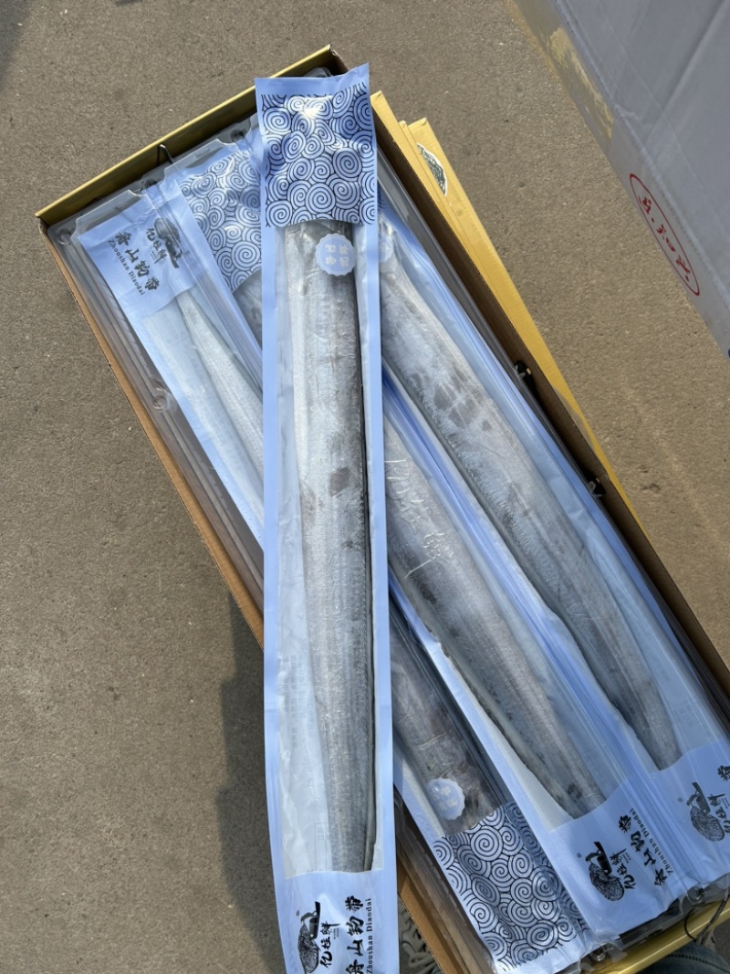 带鱼礼盒，鲜活钓带，礼盒无冰，精品钓带