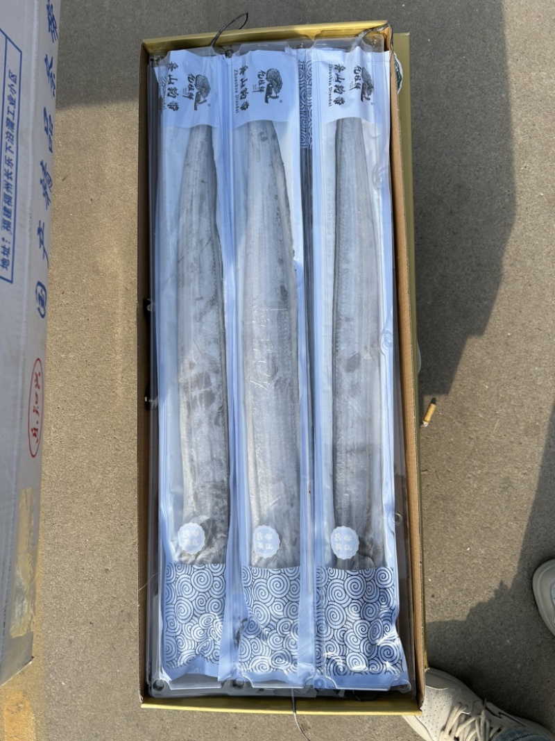 带鱼礼盒，鲜活钓带，礼盒无冰，精品钓带