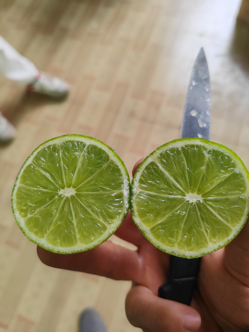 无籽柠檬/叶