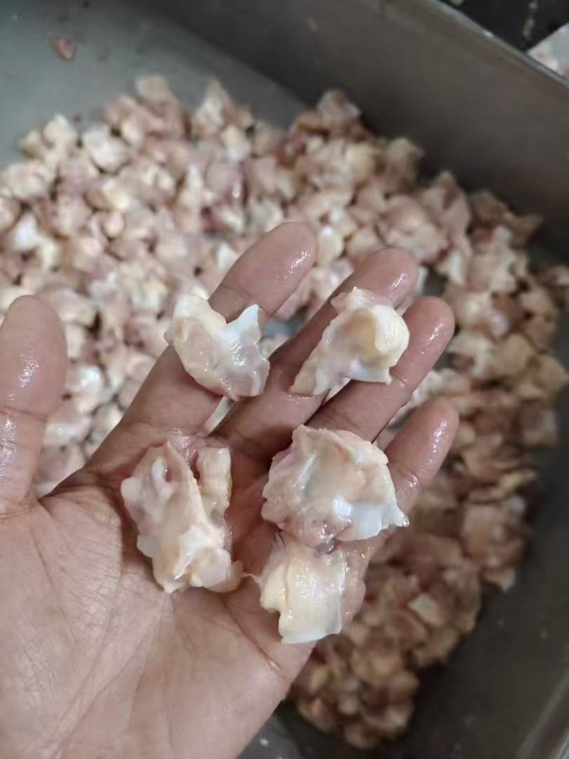 德汇膝软骨个头均匀/厂家直发证件齐全/品质保障量大优惠