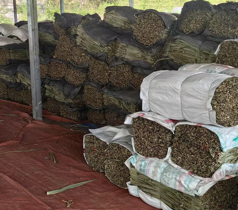 老挝湘艾棕叶产地直发可视频看货质量保证