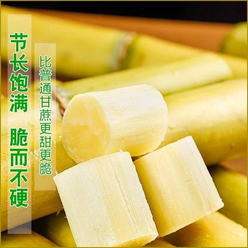 云南高山种植黄金甘蔗黄皮甘蔗青皮甘蔗一件代发