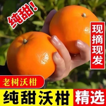 广西精品沃杆供应商超外贸出口电商一件代发