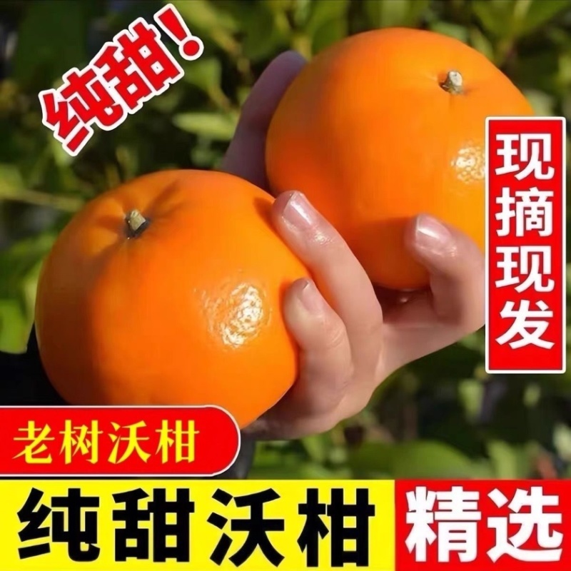 广西精品沃杆供应商超外贸出口电商一件代发
