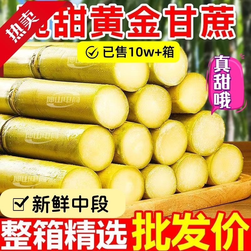 云南高山种植黄金甘蔗黄皮甘蔗青皮甘蔗一件代发