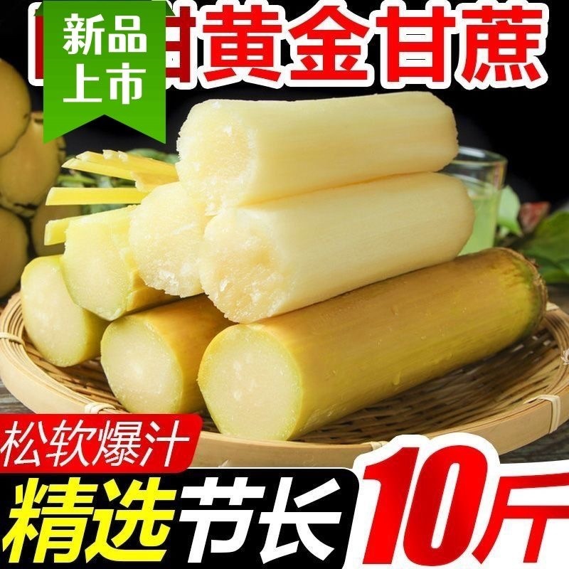 云南高山种植黄金甘蔗黄皮甘蔗青皮甘蔗一件代发