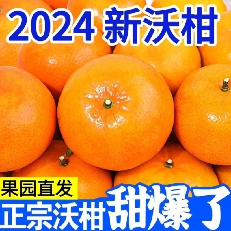 广西精品沃杆供应商超外贸出口电商一件代发