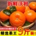 广西精品沃杆供应商超外贸出口电商一件代发