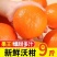广西精品沃杆供应商超外贸出口电商一件代发