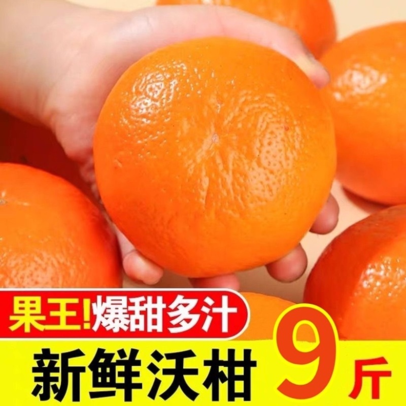 广西精品沃杆供应商超外贸出口电商一件代发