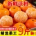 广西精品沃杆供应商超外贸出口电商一件代发