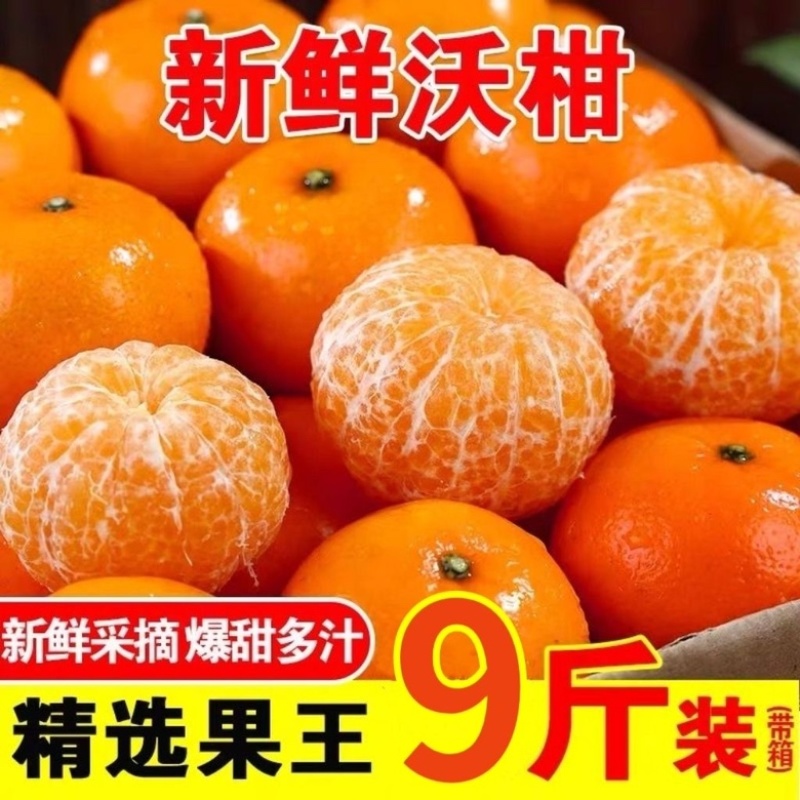 广西精品沃杆供应商超外贸出口电商一件代发