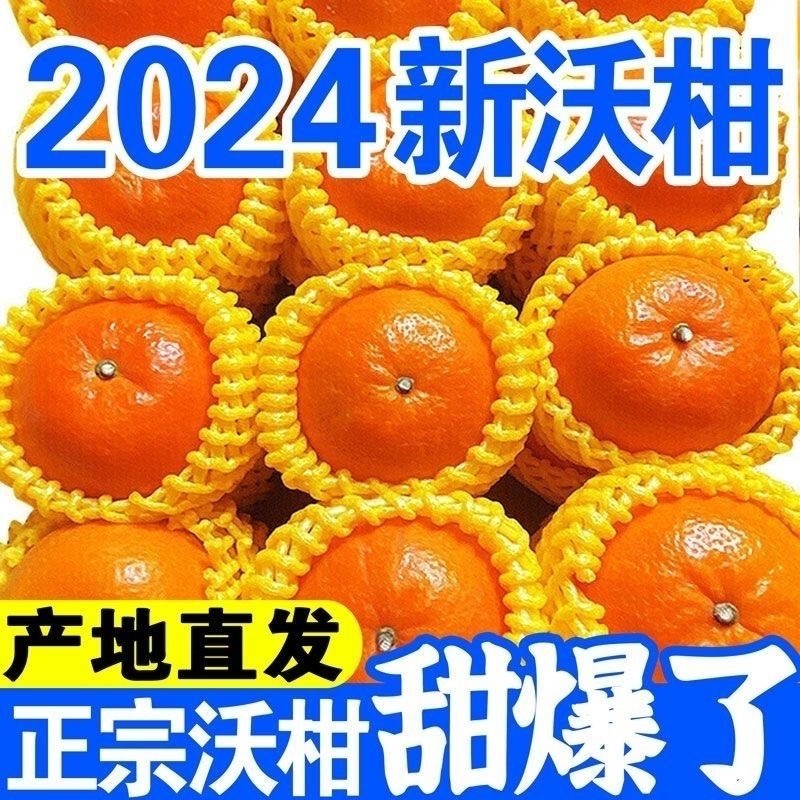 广西精品沃杆供应商超外贸出口电商一件代发