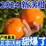 广西精品沃杆供应商超外贸出口电商一件代发