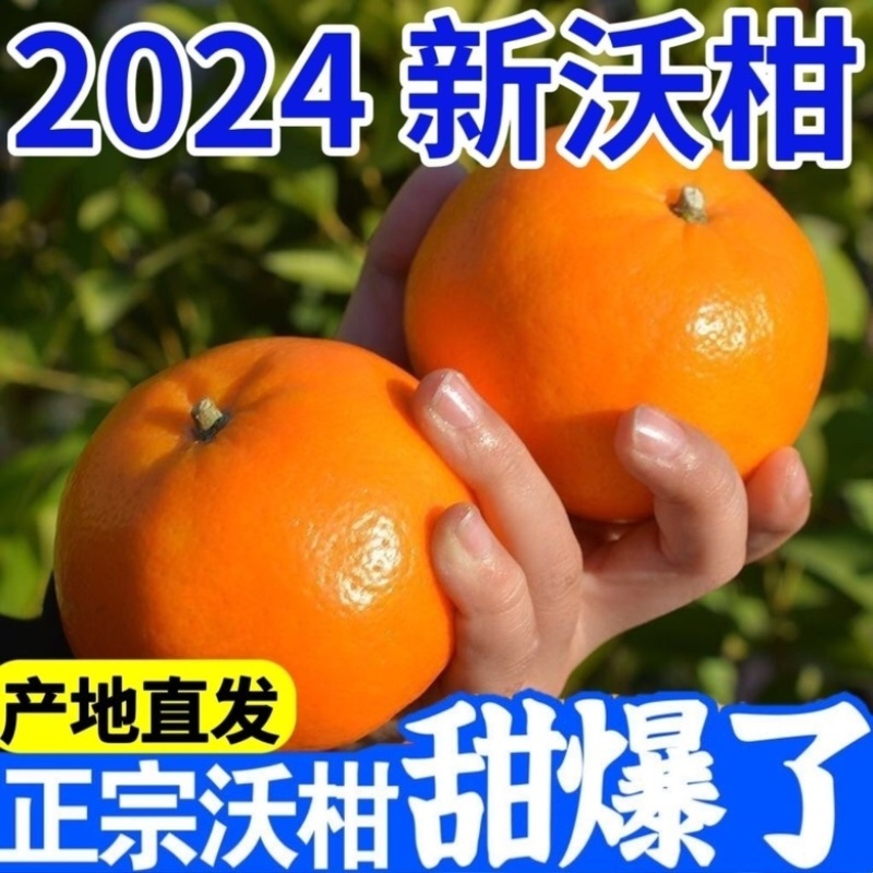 广西精品沃杆供应商超外贸出口电商一件代发