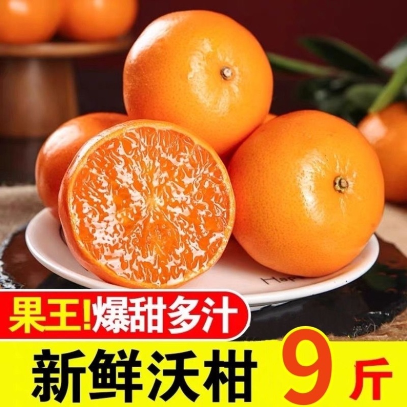 广西精品沃杆供应商超外贸出口电商一件代发