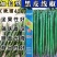 黑线椒种子欧兰德欧丽514深绿色线椒种子味辣硬度高辣椒种