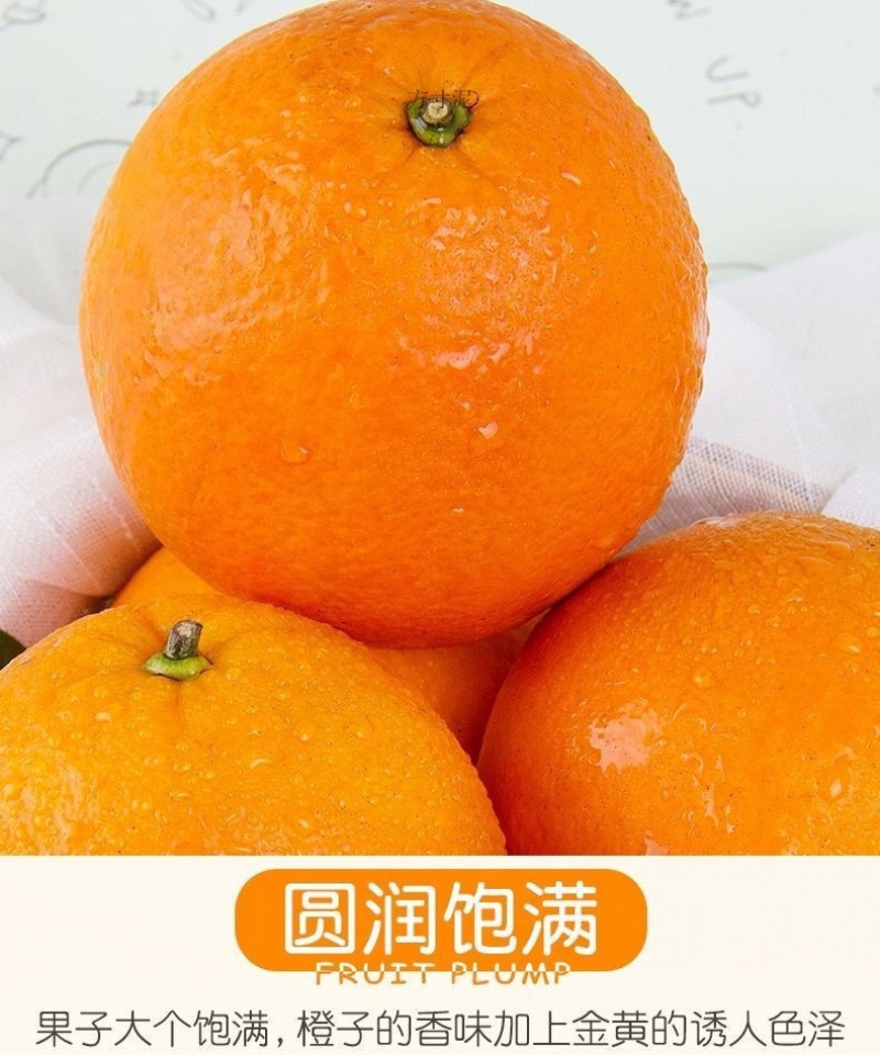 赣南齐橙批发一件代发大果十斤一箱