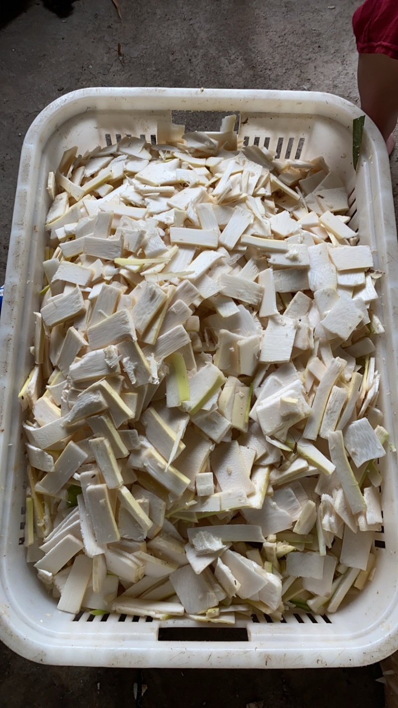 鲜笋片