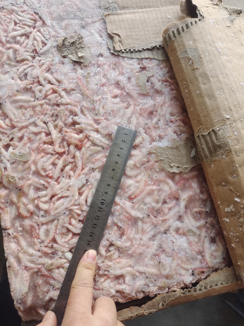 磷虾，食品加工原料，水产养殖饲料鱼规格齐全