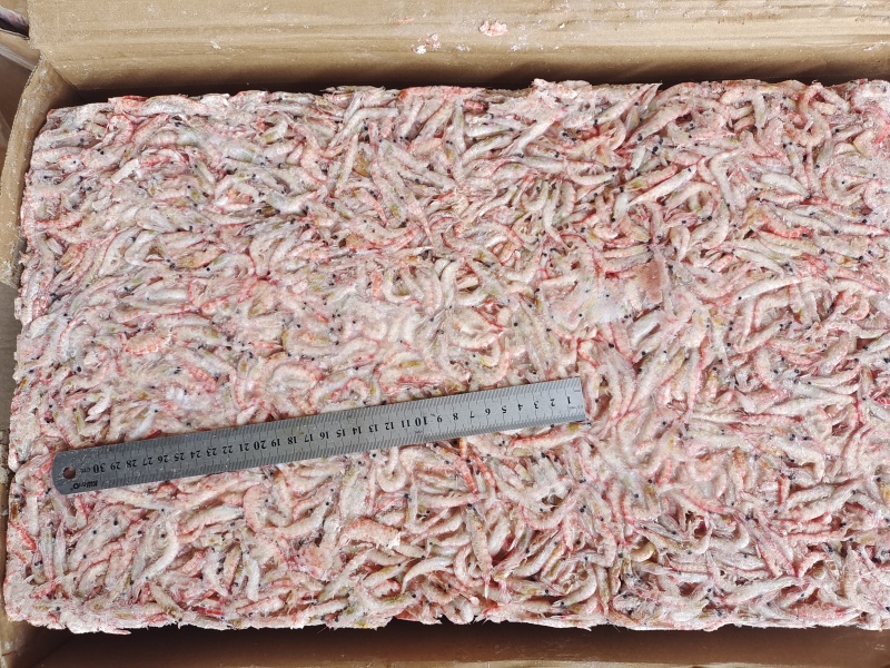 磷虾，食品加工原料，水产养殖饲料鱼规格齐全