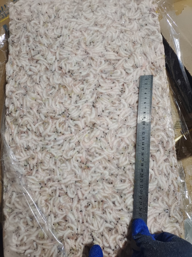 磷虾，食品加工原料，水产养殖饲料鱼规格齐全