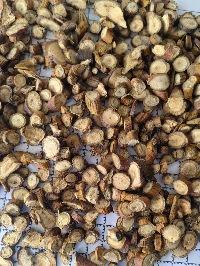 同奎药材槲寄生量大从优带叶槲寄生批发各种中药材