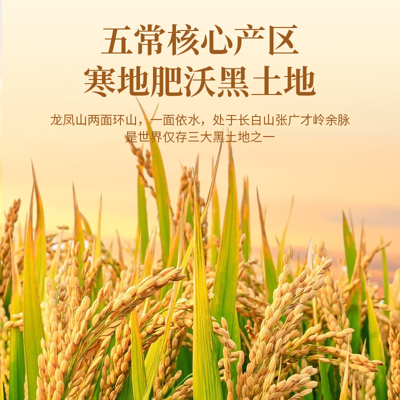 【精品稻花香】一件代发黑龙江五常大米产地直发